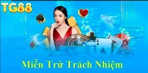 Tin Tức