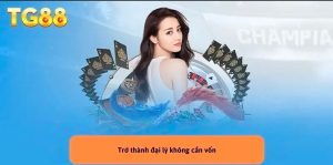 Tin Tức
