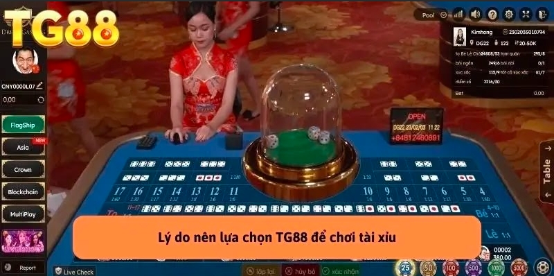 Các Loại Cầu Tài Xỉu: Khám Phá Mẹo Chiến Thắng Cùng TG88