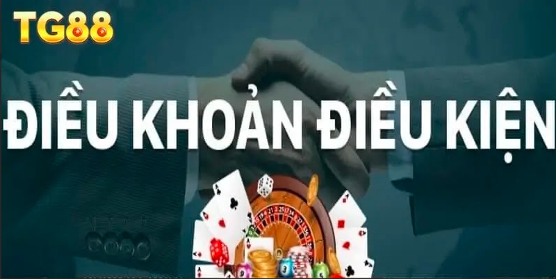 CSKH 24/7 : Hỗ Trợ Nhanh Chóng Mọi Lúc, Mọi Nơi Tại TG88
