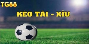 Thể Thao TG88 - Những Khoảnh Khắc Kịch Tính