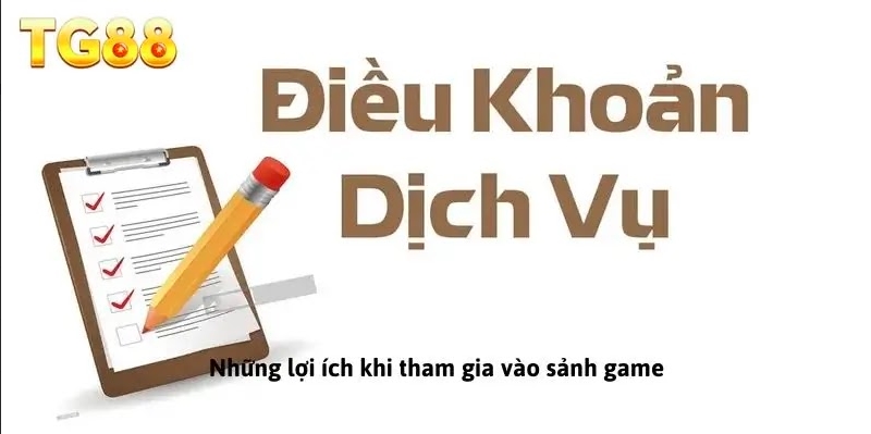 Điều Khoản Và Điều Kiện TG88 - Quyền Lợi Và Trách Nhiệm Của Người Chơi