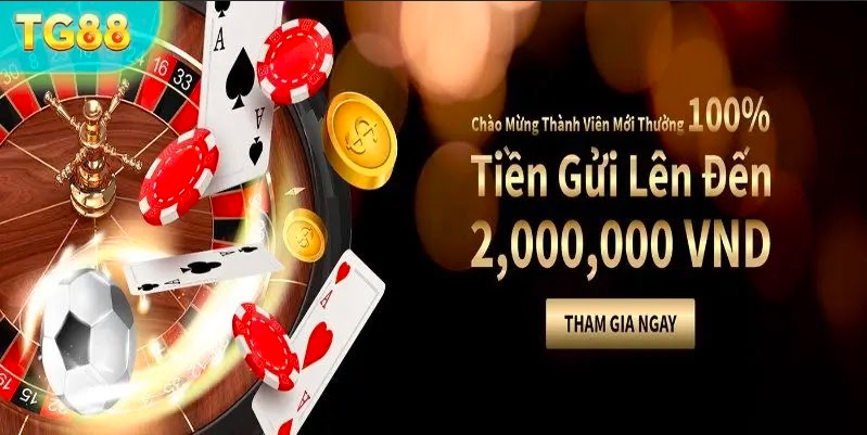 Khuyến Mãi TG88 - Cơ Hội Của Người Chơi Cá Cược Trực Tuyến