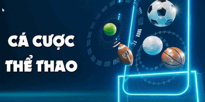 Thể thao Manclub - Hướng dẫn toàn diện cho người chơi