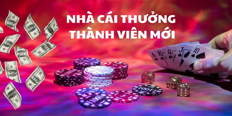 Khuyến mãi - manclubpro.com.co